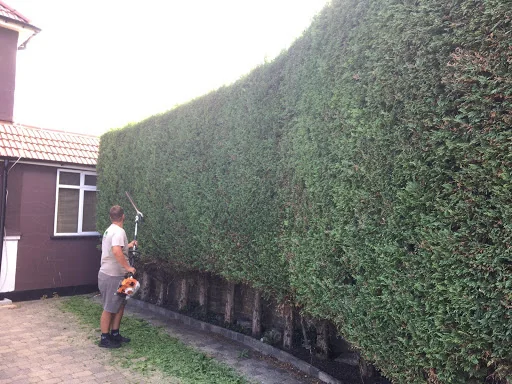 Eastwood Landscaping &amp; Gardening photo 3