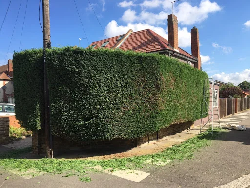 Eastwood Landscaping &amp; Gardening photo 4