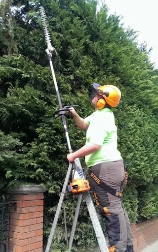 Eastwood Landscaping &amp; Gardening photo 5