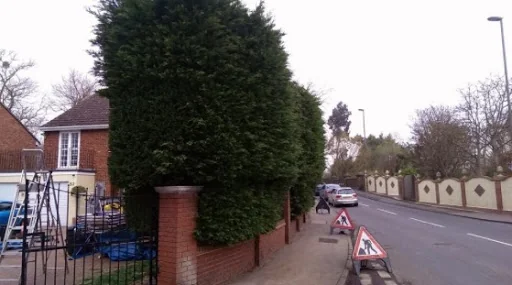 Eastwood Landscaping &amp; Gardening photo 6