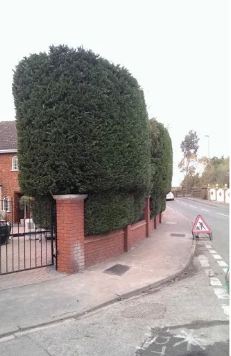 Eastwood Landscaping &amp; Gardening photo 7