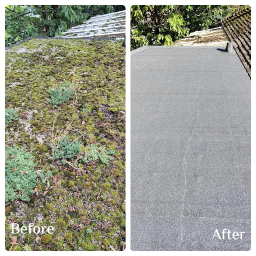 Future Plastics photo 6