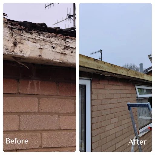 Future Plastics photo 7