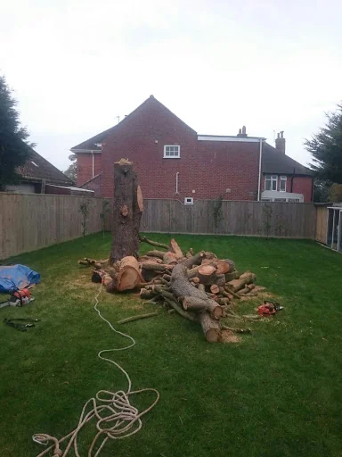Dorset Tree &amp; Garden Care photo 7