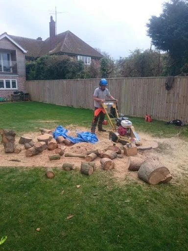 Dorset Tree &amp; Garden Care photo 8