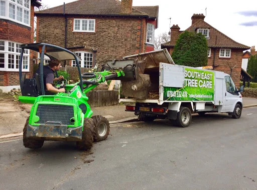 Southeast Tree Care Ltd photo 4