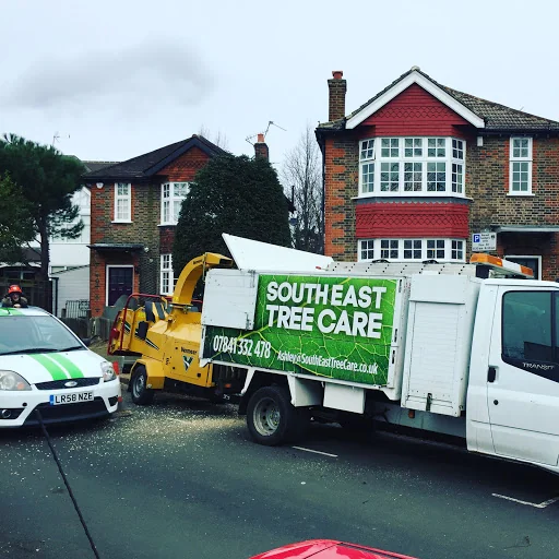 Southeast Tree Care Ltd photo 5