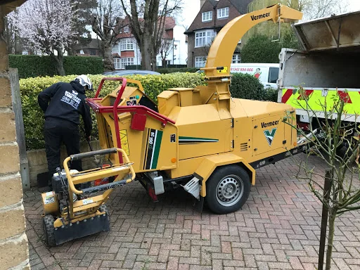 Southeast Tree Care Ltd photo 7