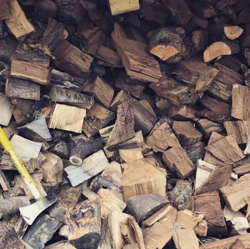 Southeast Tree Care Ltd photo 8