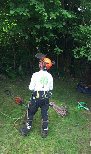 Marchant Tree Care photo 1