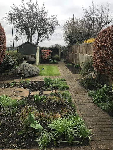 BlueLotus Garden Services Ltd photo 1