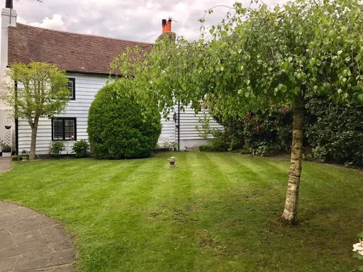 BlueLotus Garden Services Ltd photo 2