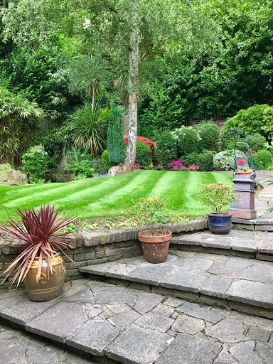 BlueLotus Garden Services Ltd photo 3