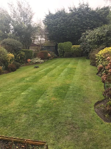 BlueLotus Garden Services Ltd photo 4