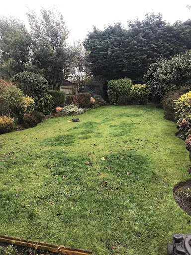 BlueLotus Garden Services Ltd photo 5