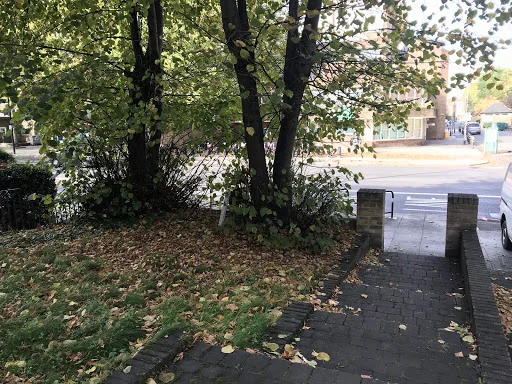 BlueLotus Garden Services Ltd photo 7