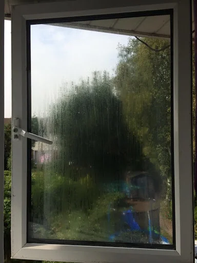 Abbot's Windows photo 7