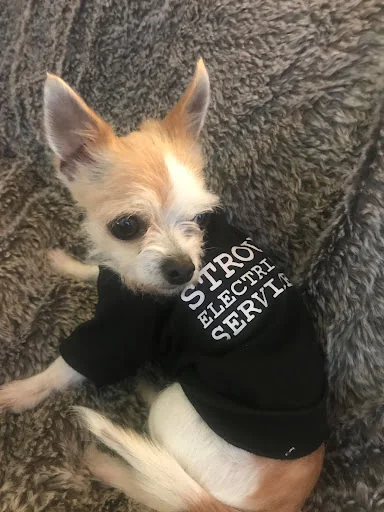 Stroud Electrical Services U.K. Ltd photo 4