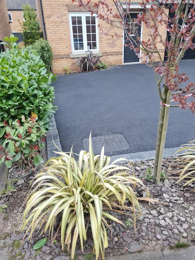 Frontline Turf and Landscapes photo 5