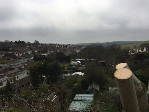 Wilding Tree Care photo 6