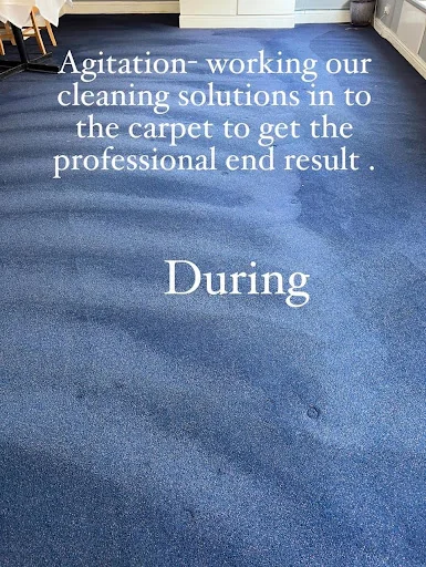 Ultraclean Professional photo 3