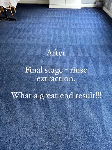 Ultraclean Professional photo 4