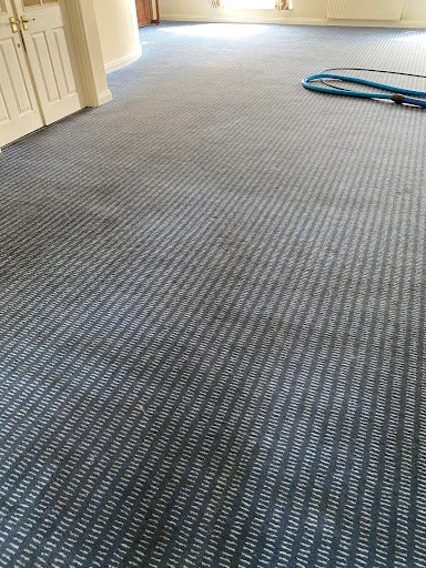 Ultraclean Professional photo 5