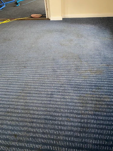 Ultraclean Professional photo 6