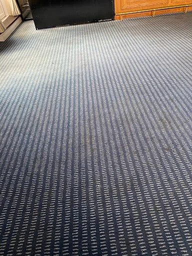 Ultraclean Professional photo 7