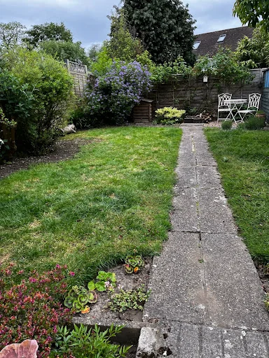 F Johnson Tree, Garden &amp; Landscaping Maintenance Services photo 6