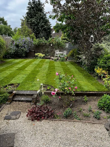 F Johnson Tree, Garden &amp; Landscaping Maintenance Services photo 7