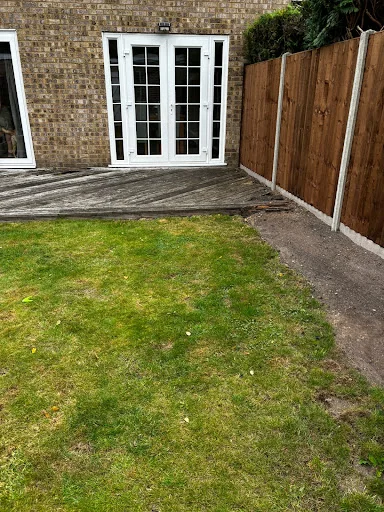 F Johnson Tree, Garden &amp; Landscaping Maintenance Services photo 8