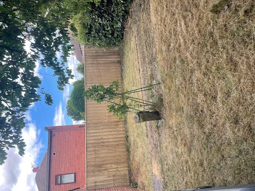 JM Fencing &amp; Garden Services photo 4