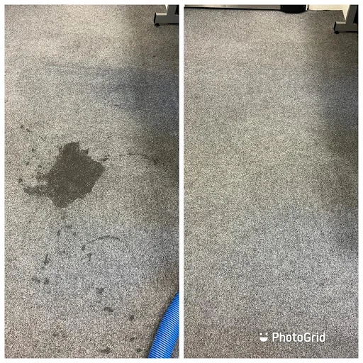 Carpet Bird Ltd photo 3