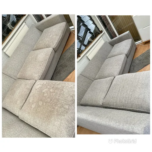 Carpet Bird Ltd photo 4