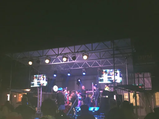 DPM Scaffolding photo 4