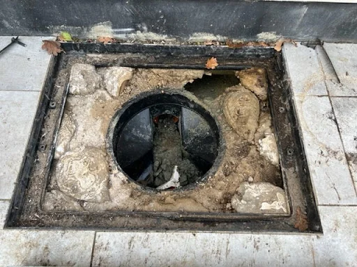 Top Cat Pest Control photo 8