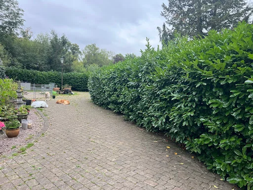 Woking Garden Services photo 1