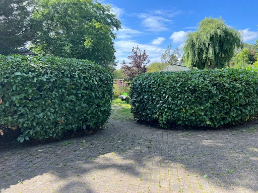 Woking Garden Services photo 3