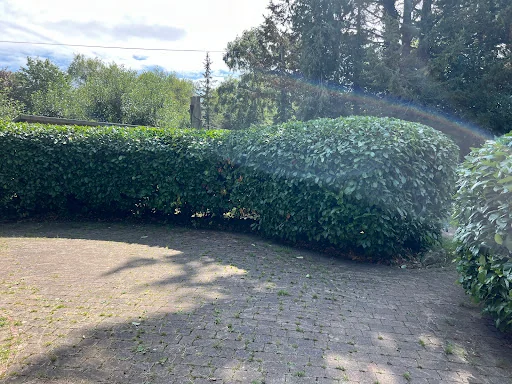 Woking Garden Services photo 5