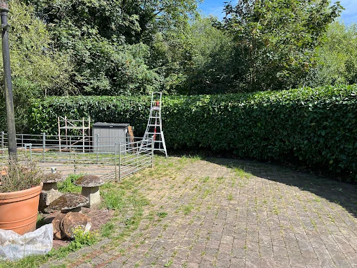 Woking Garden Services photo 6