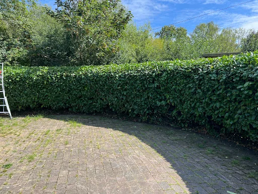 Woking Garden Services photo 7