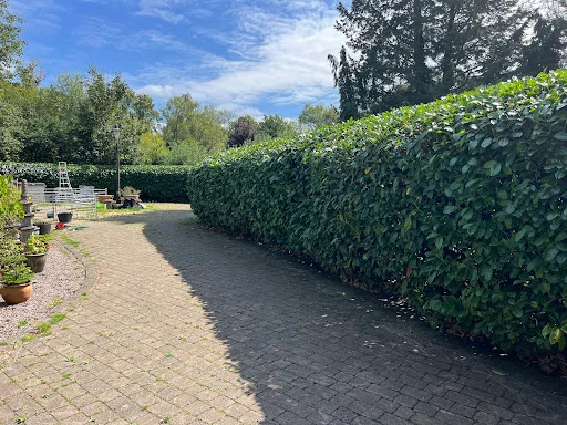 Woking Garden Services photo 8