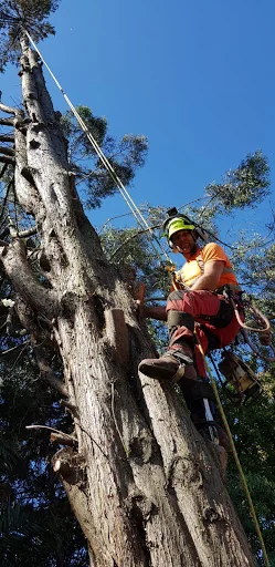 Eagle Tree Care Ltd photo 1