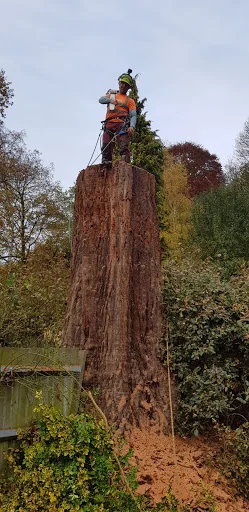 Eagle Tree Care Ltd photo 2