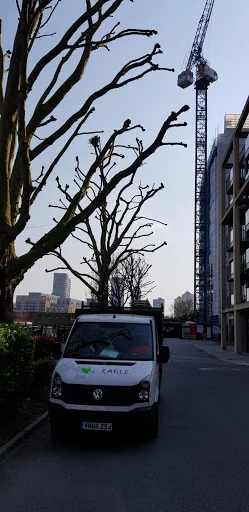 Eagle Tree Care Ltd photo 4