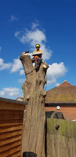 Eagle Tree Care Ltd photo 5