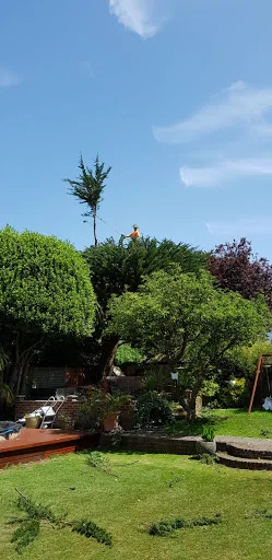 Eagle Tree Care Ltd photo 7