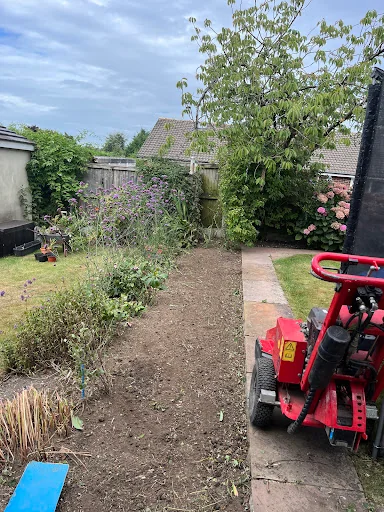 Total Tree Care Solutions photo 1
