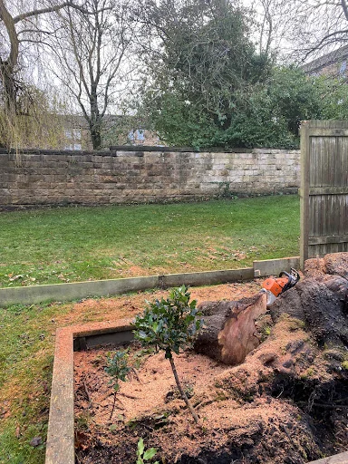Total Tree Care Solutions photo 6